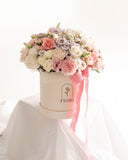 BOX GI 107 PASTEL