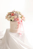 BOX GI 107 PASTEL