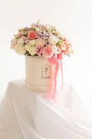 BOX GI 107 PASTEL