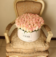 BOX 46- ROSAS ROSADAS