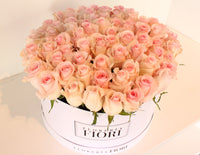 BOX 46- ROSAS ROSADAS