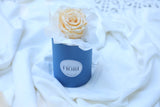 MINI BOX 2 - Rosa eterna blanca.
