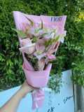 RA 118 COQUETTE PINK